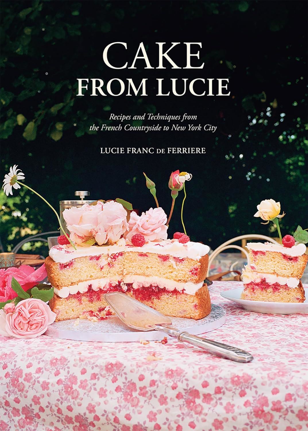 CAKE FROM LUCIE