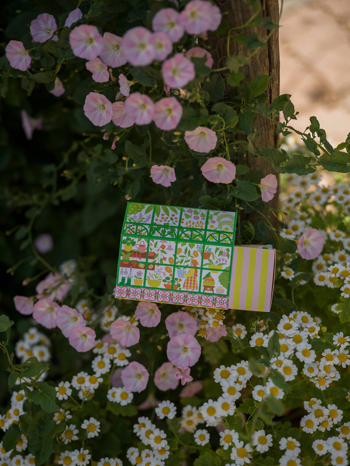 The Green House  | House Matchboxes