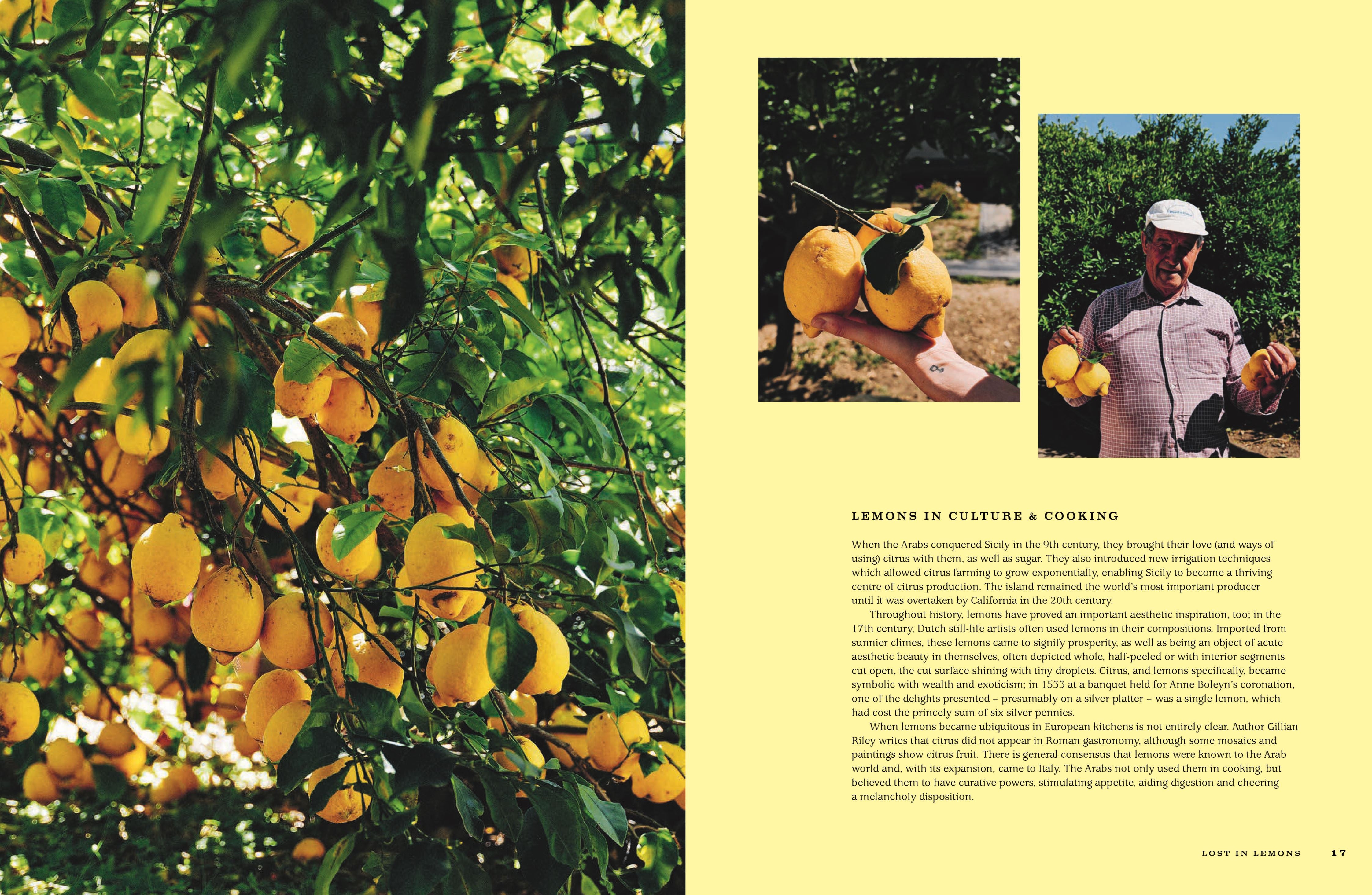 FOR THE LOVE OF LEMONS: ITALIAN INSPIRED SWEET/ SAVOURY