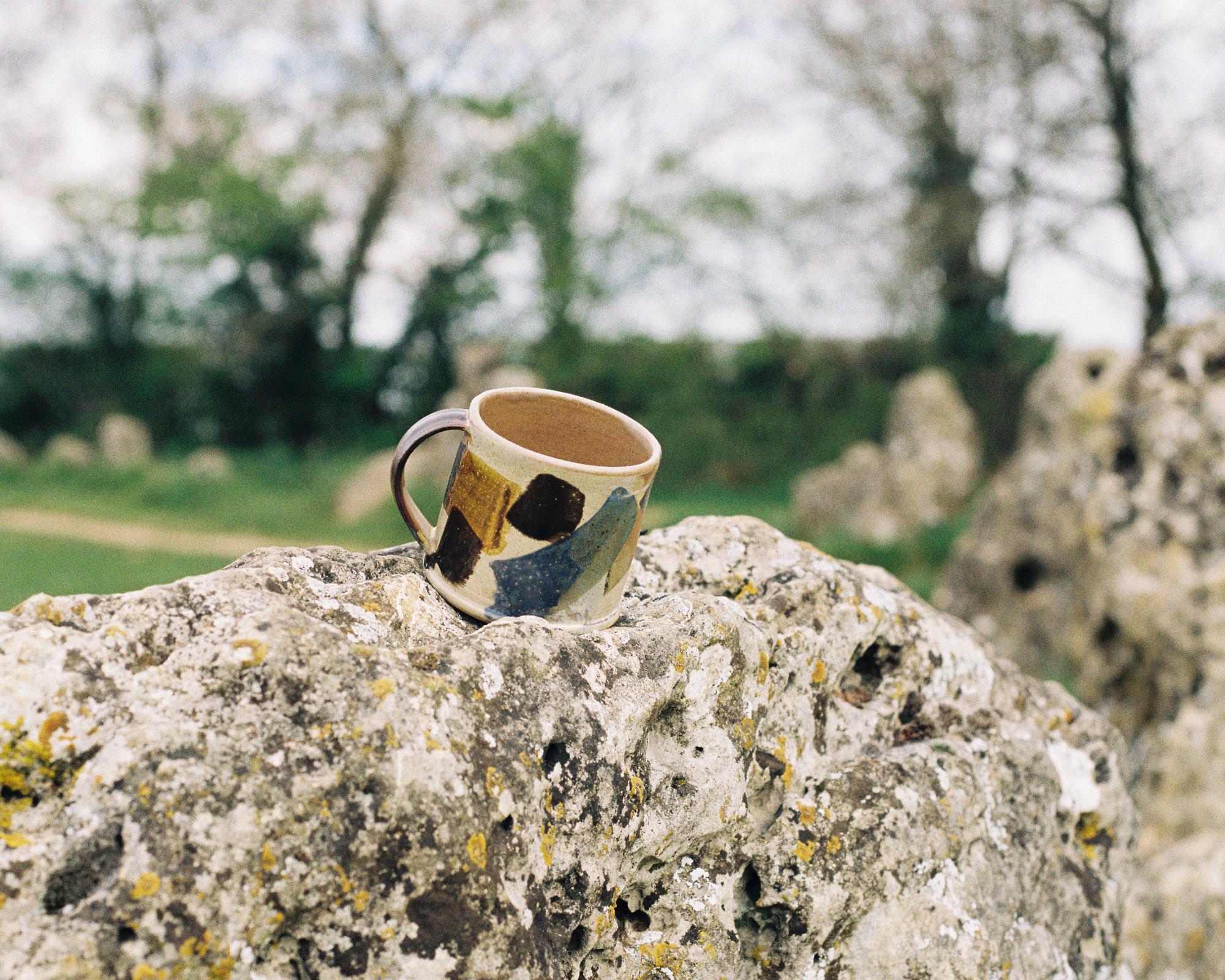 Kingfisher mug